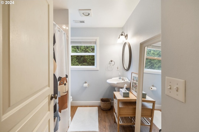 bathroom with a wealth of natural light, sink, wood-type flooring, and toilet