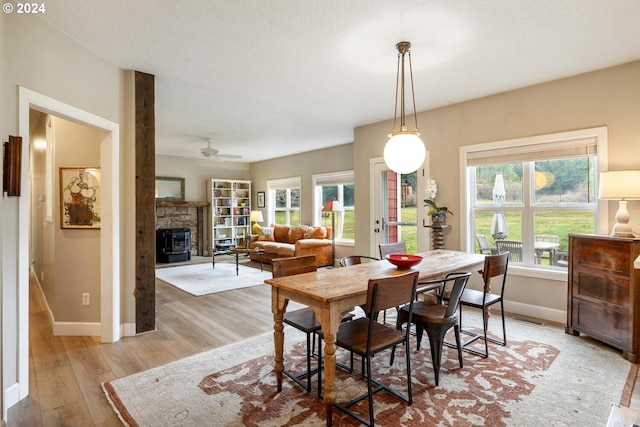 dining space with ceiling fan and light hardwood / wood-style flooring