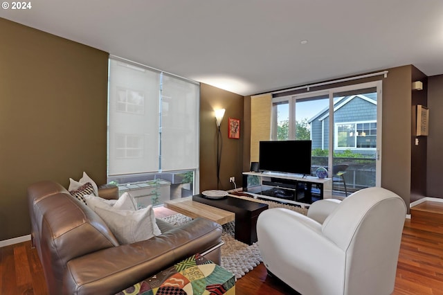 living room featuring wood-type flooring