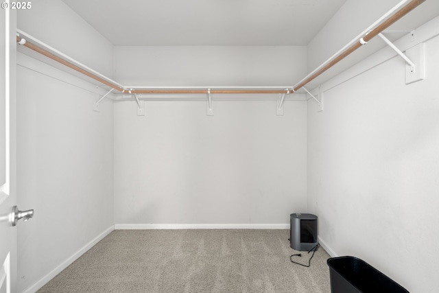 2834 SE Franklin St, Portland, OR 97202 - walk in closet featuring carpet flooring