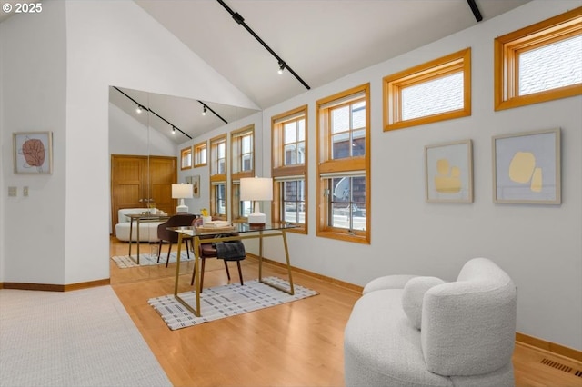 interior space featuring hardwood / wood-style flooring, vaulted ceiling, a healthy amount of sunlight, and track lighting