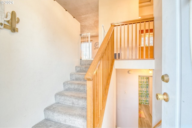 stairs with hardwood / wood-style flooring