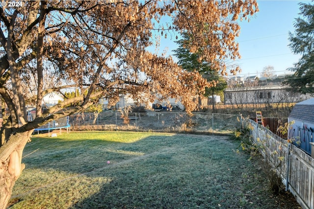 view of yard with a trampoline