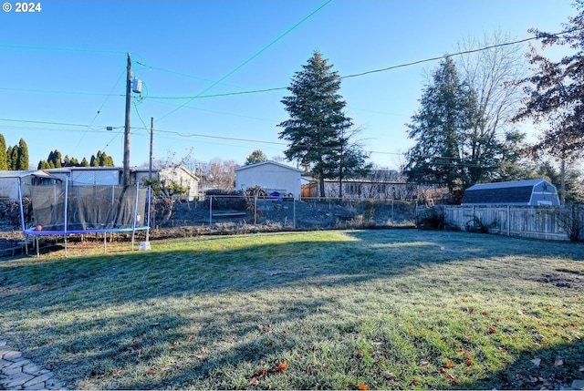 view of yard with a trampoline