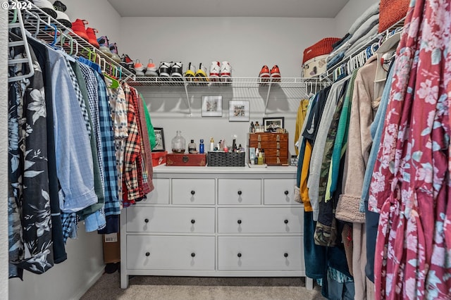 walk in closet with light carpet