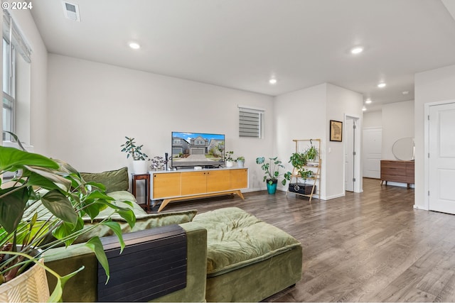 living room featuring plenty of natural light and dark hardwood / wood-style flooring