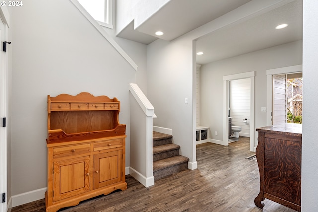 staircase featuring wood-type flooring