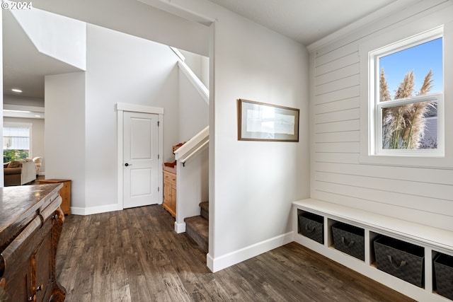 mudroom featuring dark wood-type flooring