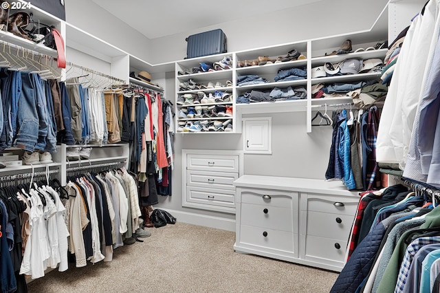 spacious closet with light colored carpet