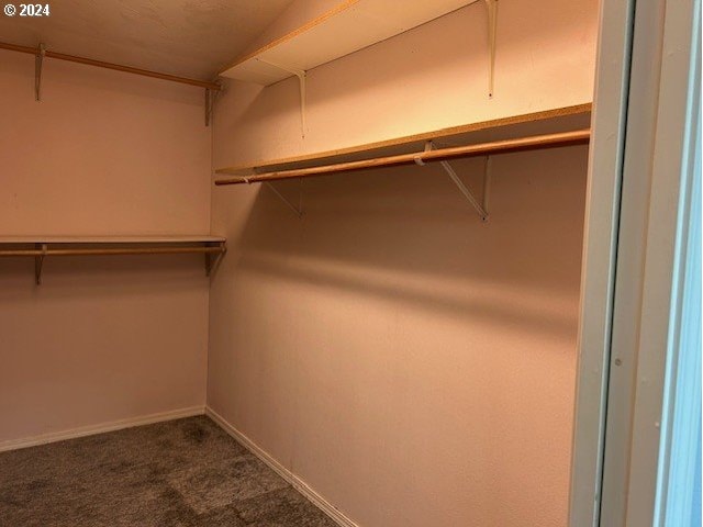 walk in closet featuring carpet