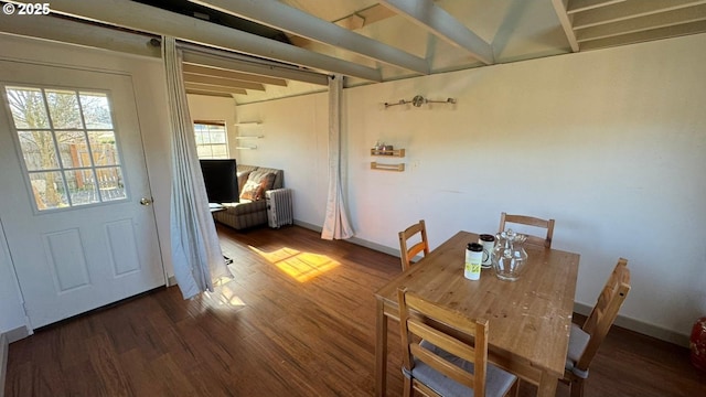 dining area with radiator and dark hardwood / wood-style flooring