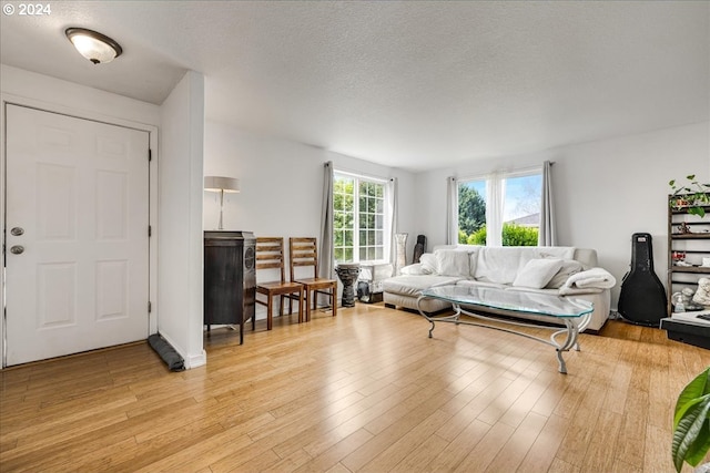 living room featuring a textured ceiling and light hardwood / wood-style flooring