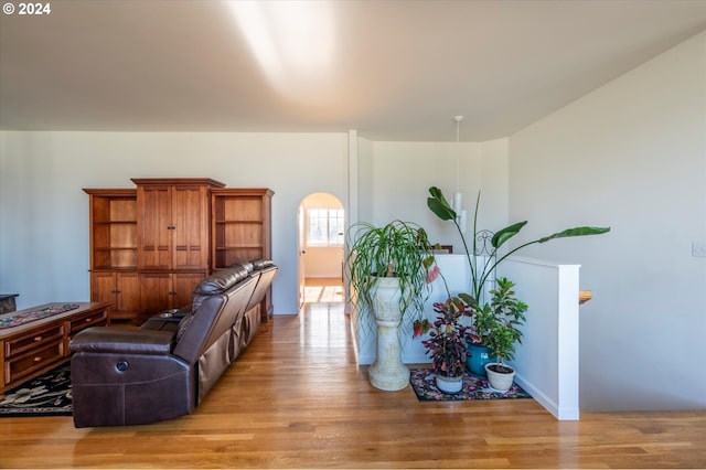 living room featuring light hardwood / wood-style floors