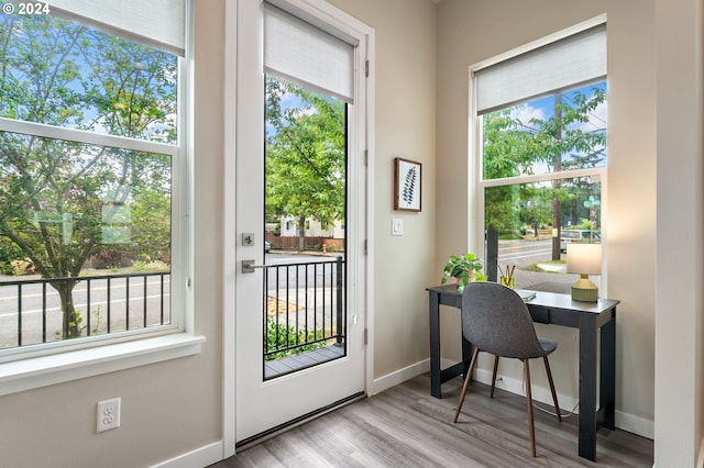 doorway to outside featuring a wealth of natural light and light hardwood / wood-style floors