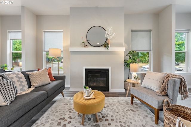 living room with hardwood / wood-style floors