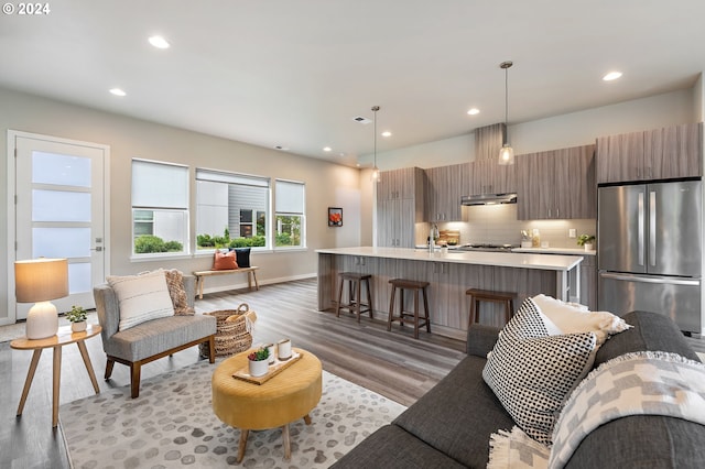 living room featuring sink and light hardwood / wood-style flooring