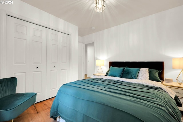 bedroom with a closet and wood-type flooring