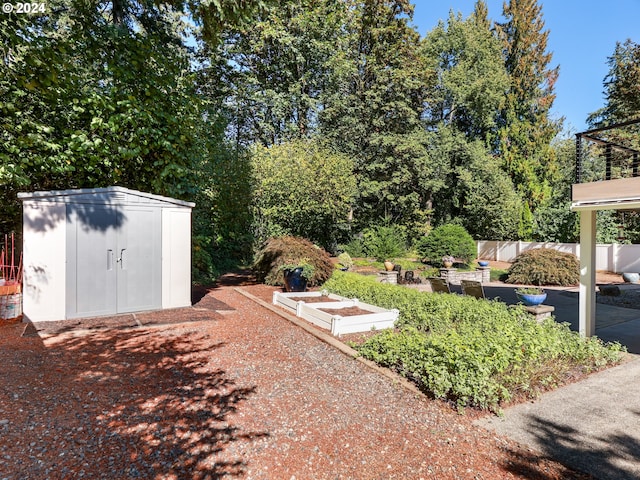 view of yard with a storage unit