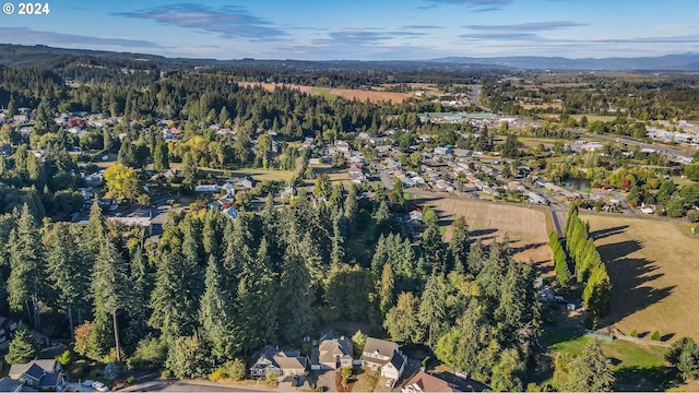 bird's eye view featuring a mountain view