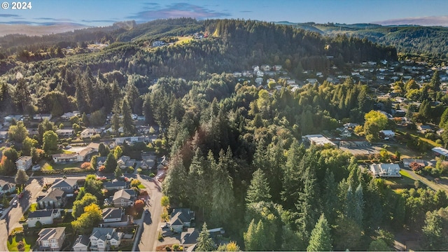 aerial view with a mountain view