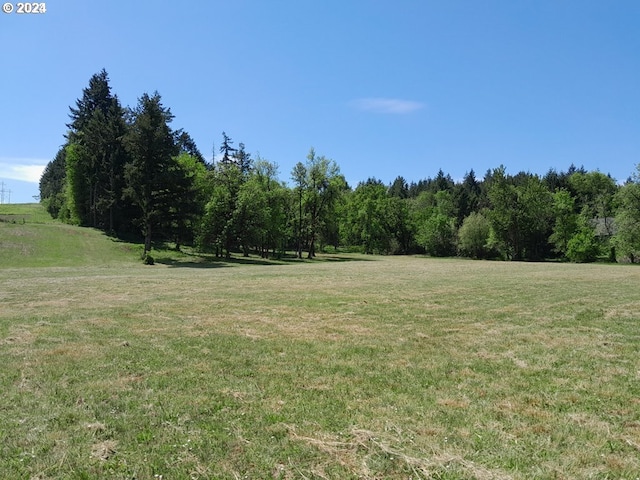 view of yard featuring a rural view