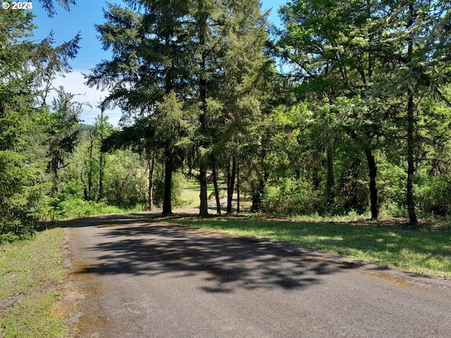 view of road