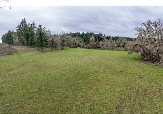 view of yard featuring a rural view