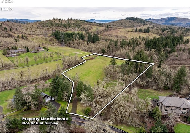 birds eye view of property featuring a mountain view