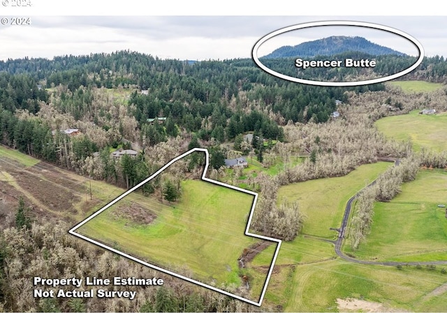 birds eye view of property featuring a rural view