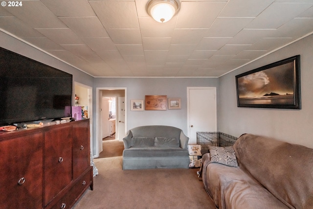 living room featuring light colored carpet