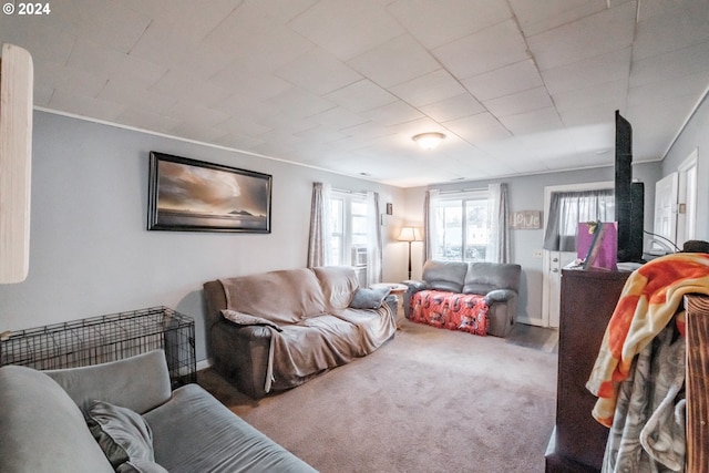 living room featuring carpet and ornamental molding