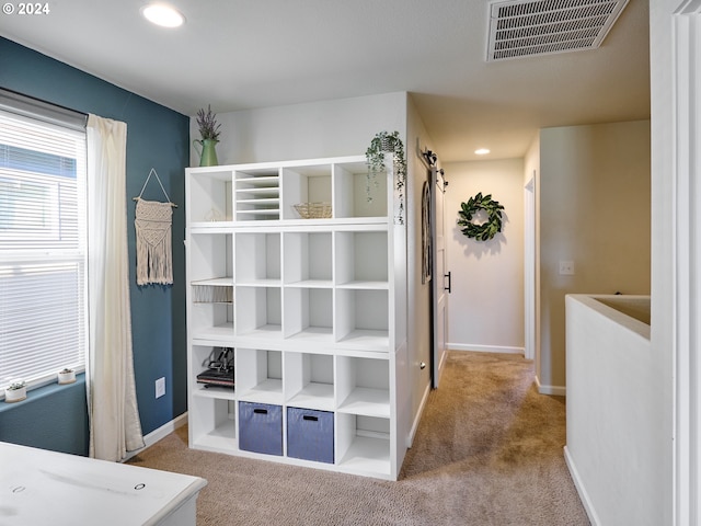 bedroom featuring carpet floors