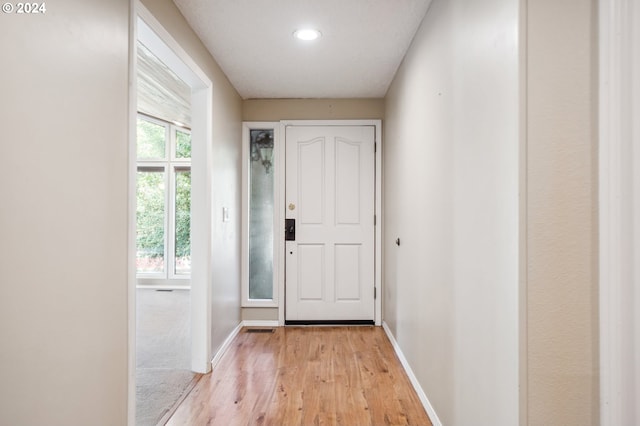 entryway featuring light wood-type flooring