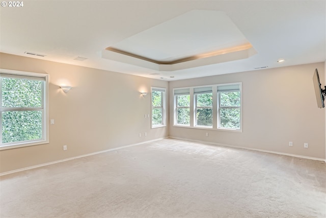 carpeted spare room with a tray ceiling