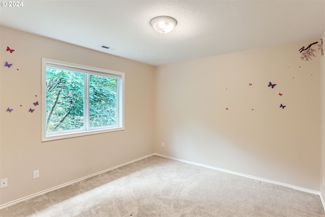 spare room featuring plenty of natural light and light carpet