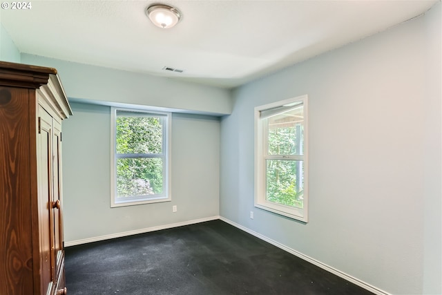 carpeted spare room with a wealth of natural light