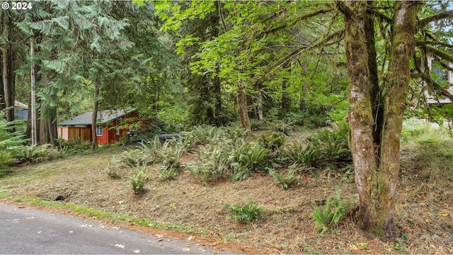 Listing photo 2 for 9842 Beach Dr, Birkenfeld OR 97016