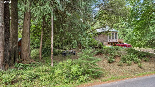 Listing photo 3 for 9842 Beach Dr, Birkenfeld OR 97016