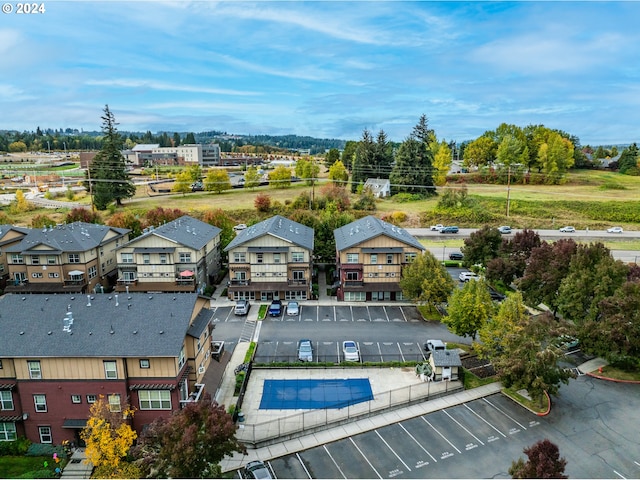 drone / aerial view