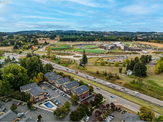 drone / aerial view