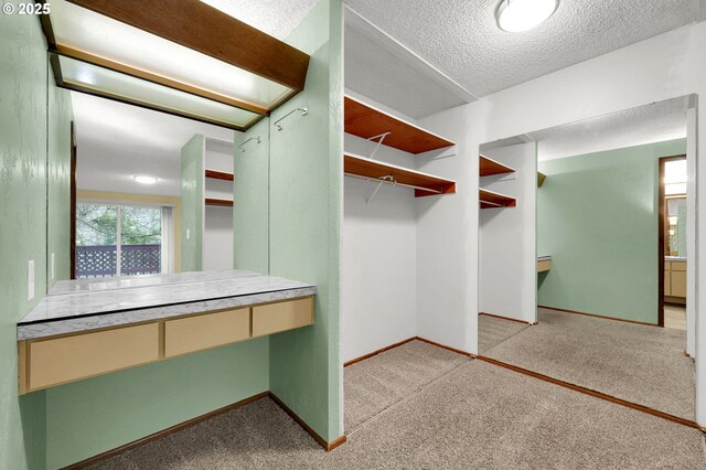 walk in closet with light colored carpet