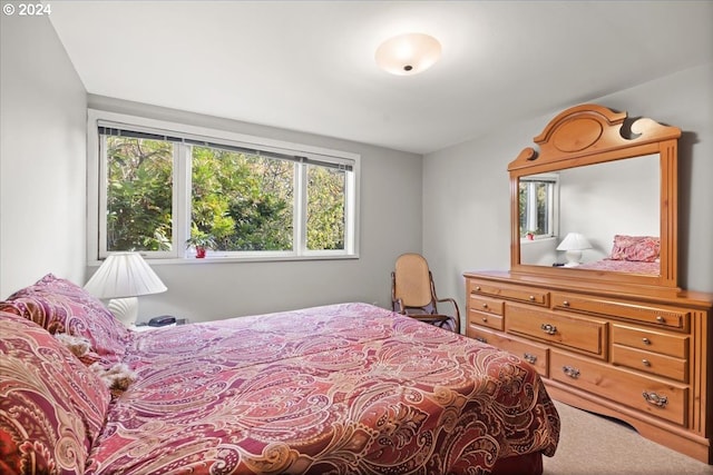 bedroom with carpet floors