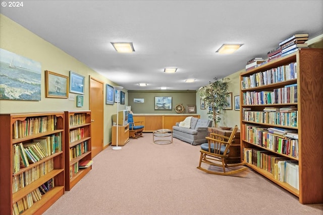 living area featuring a textured ceiling and carpet floors