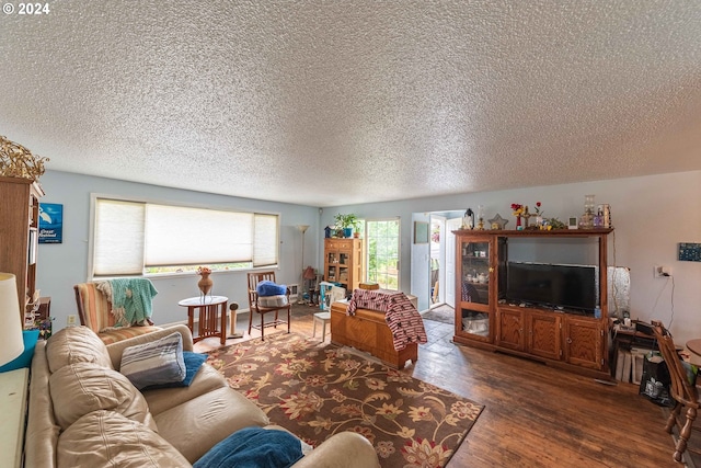 living room with dark hardwood / wood-style flooring