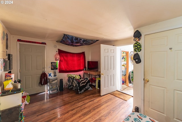 foyer with hardwood / wood-style floors