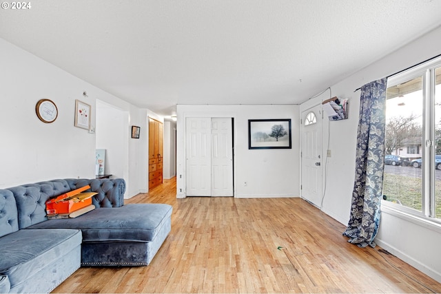 living room with light hardwood / wood-style flooring