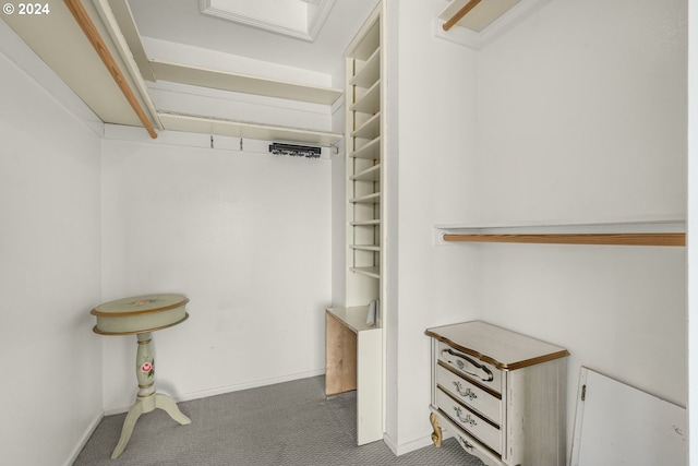 walk in closet featuring carpet flooring