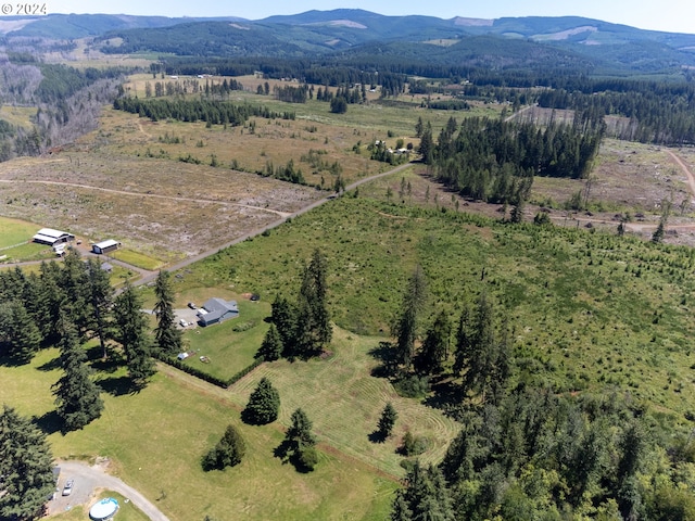 birds eye view of property featuring a mountain view