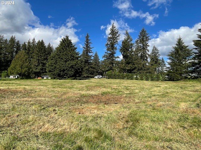 view of yard with a rural view