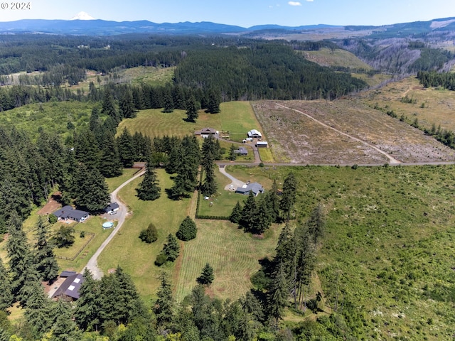 birds eye view of property with a mountain view